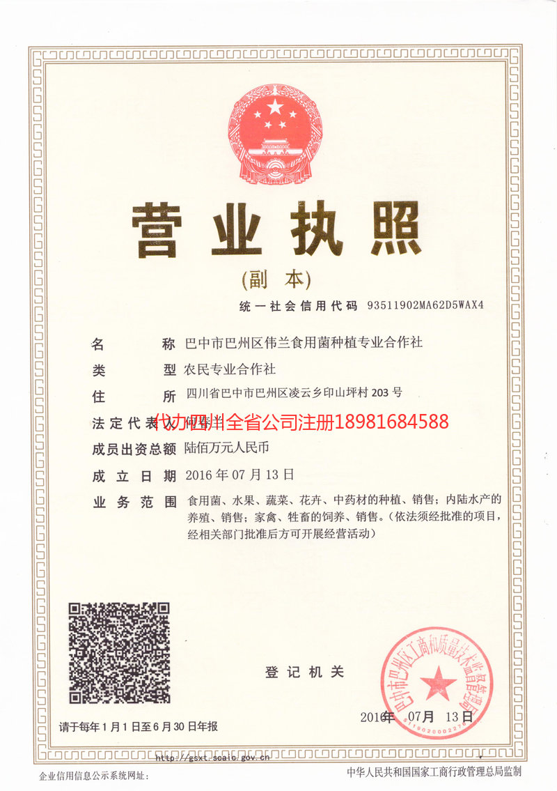 吴川吴川伟兰食用菌种植专业合作社